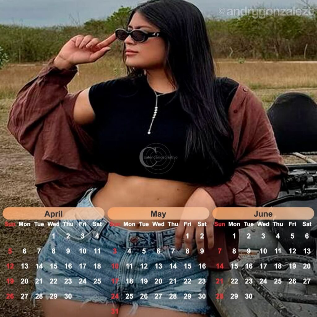 calendário modelo Andry 2026,socadinho