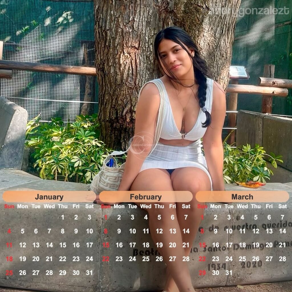 calendário modelo Andry 2026,vestido curto
