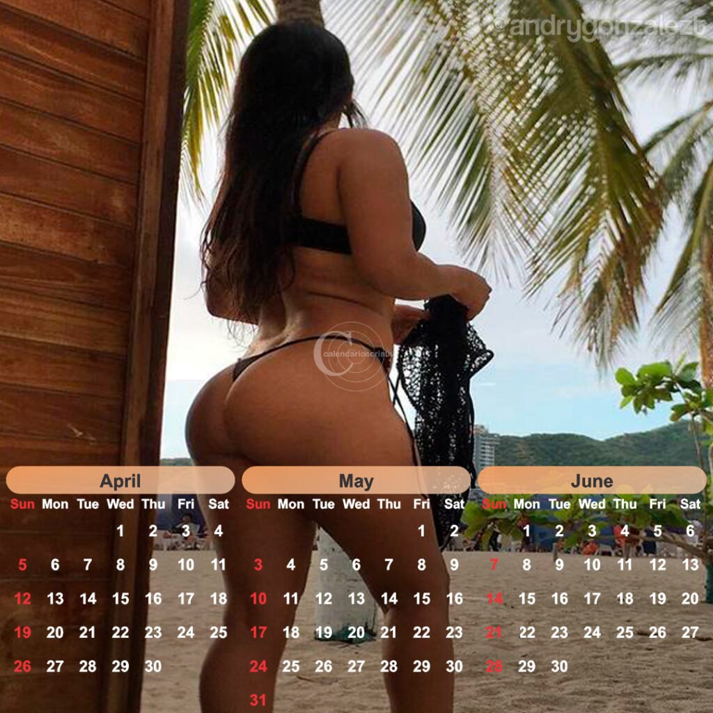 calendário modelo Andry 2026,cavalona