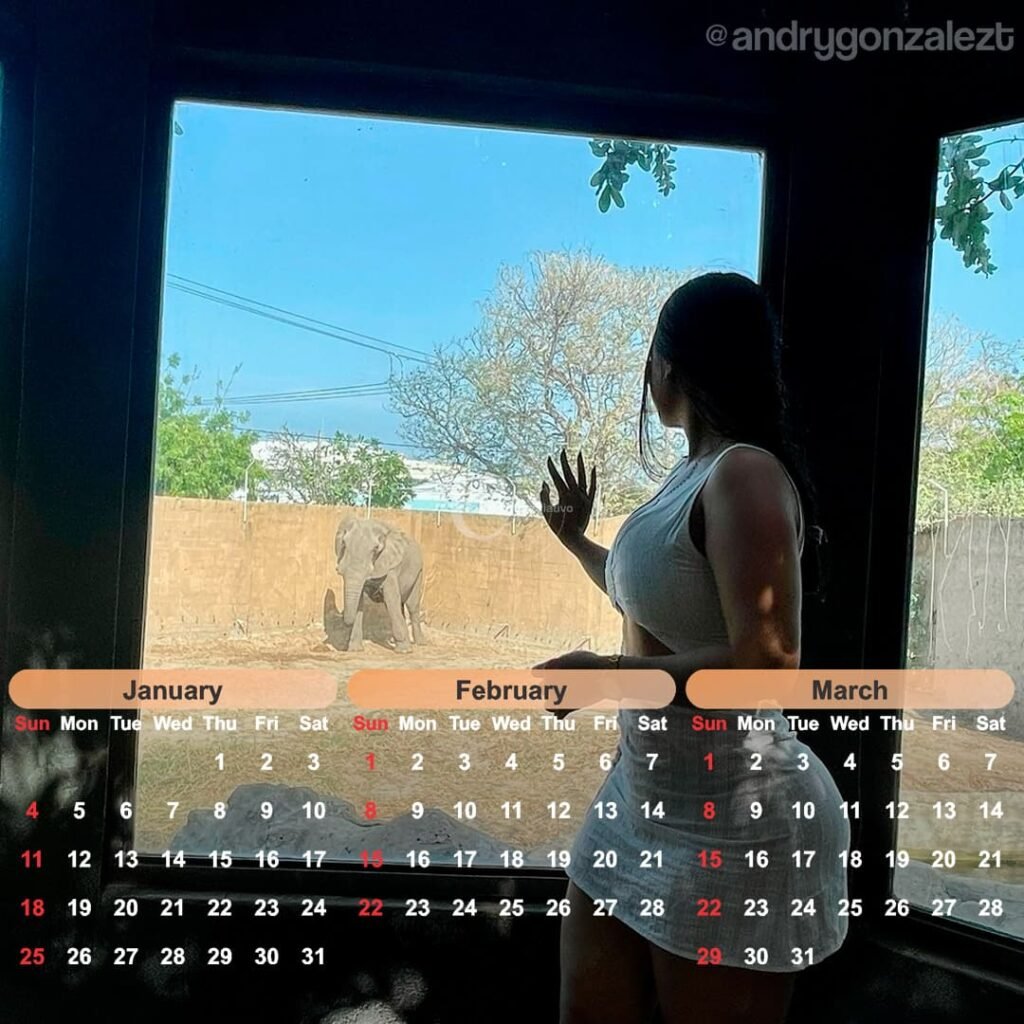 calendário modelo Andry 2026,paisagem