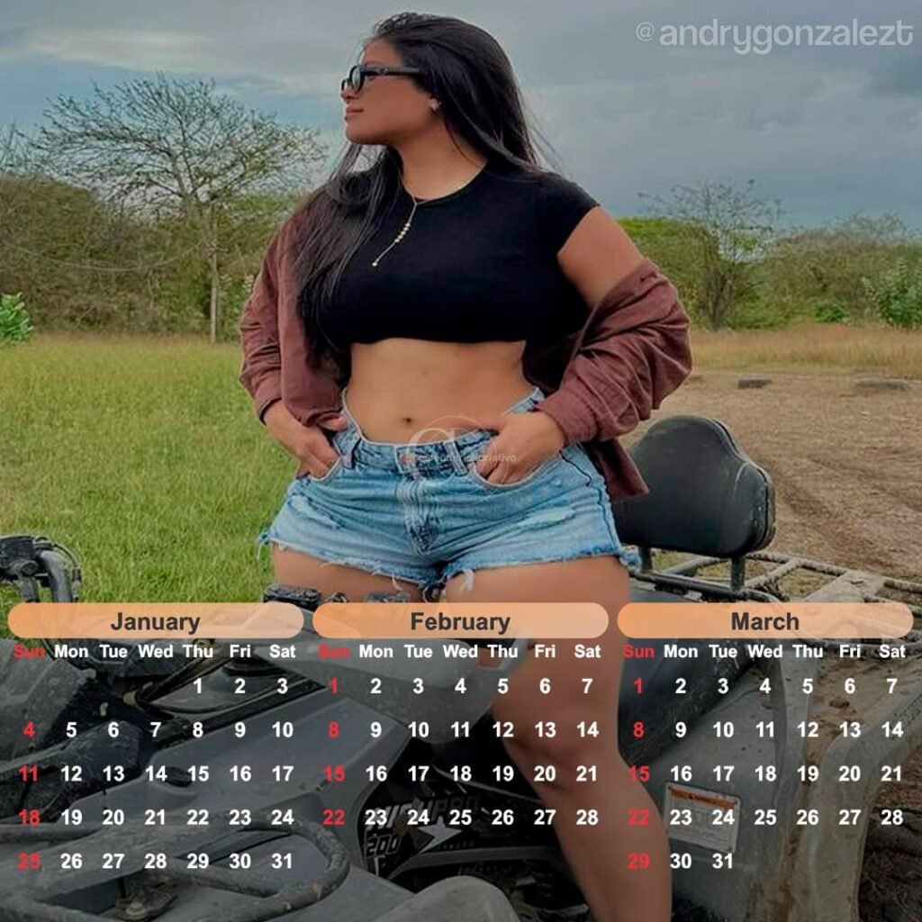 calendário modelo Andry 2026,mes janeiro