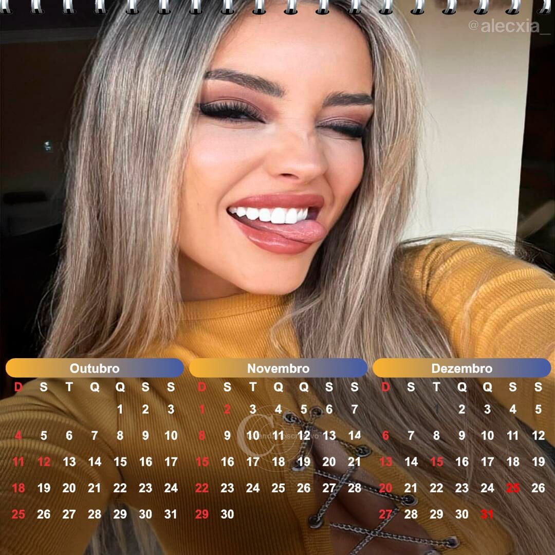 calendário 2026 modelo alecxia