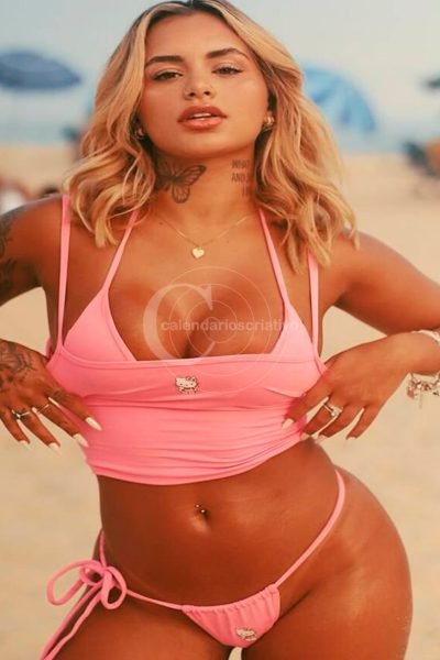 Nossa Modelo 2026 - niccolereis perfil